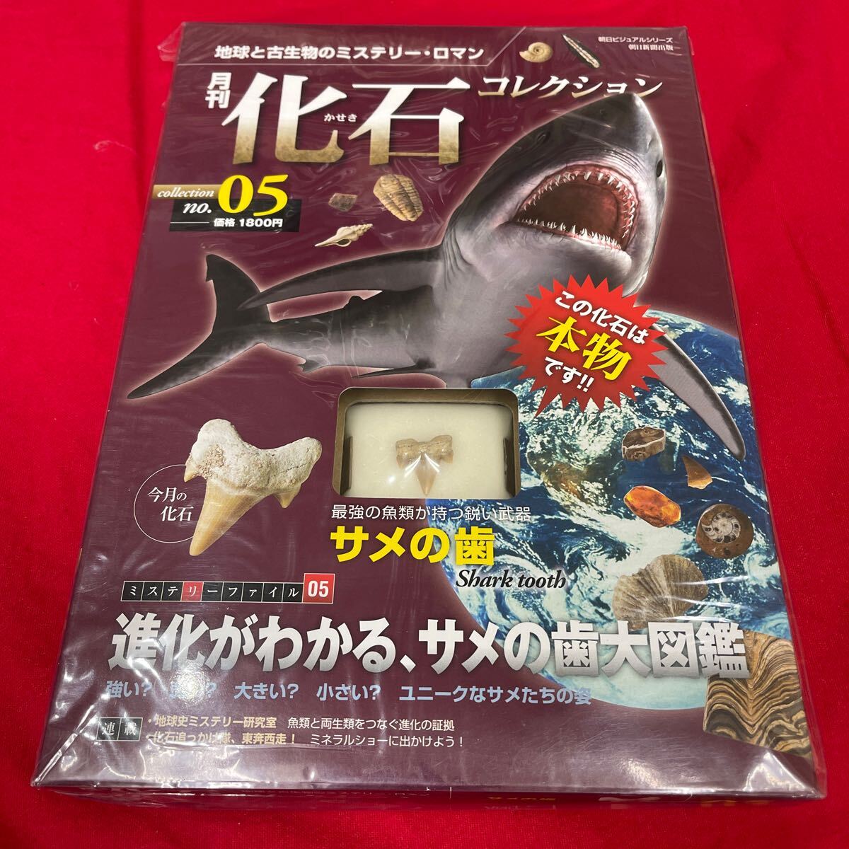 複　Y501. 4. 未開封 化石付き 月刊化石コレクション NO.05 地球と古生物のミステリー・ロマン　保管品　シュリンク付き　_画像1