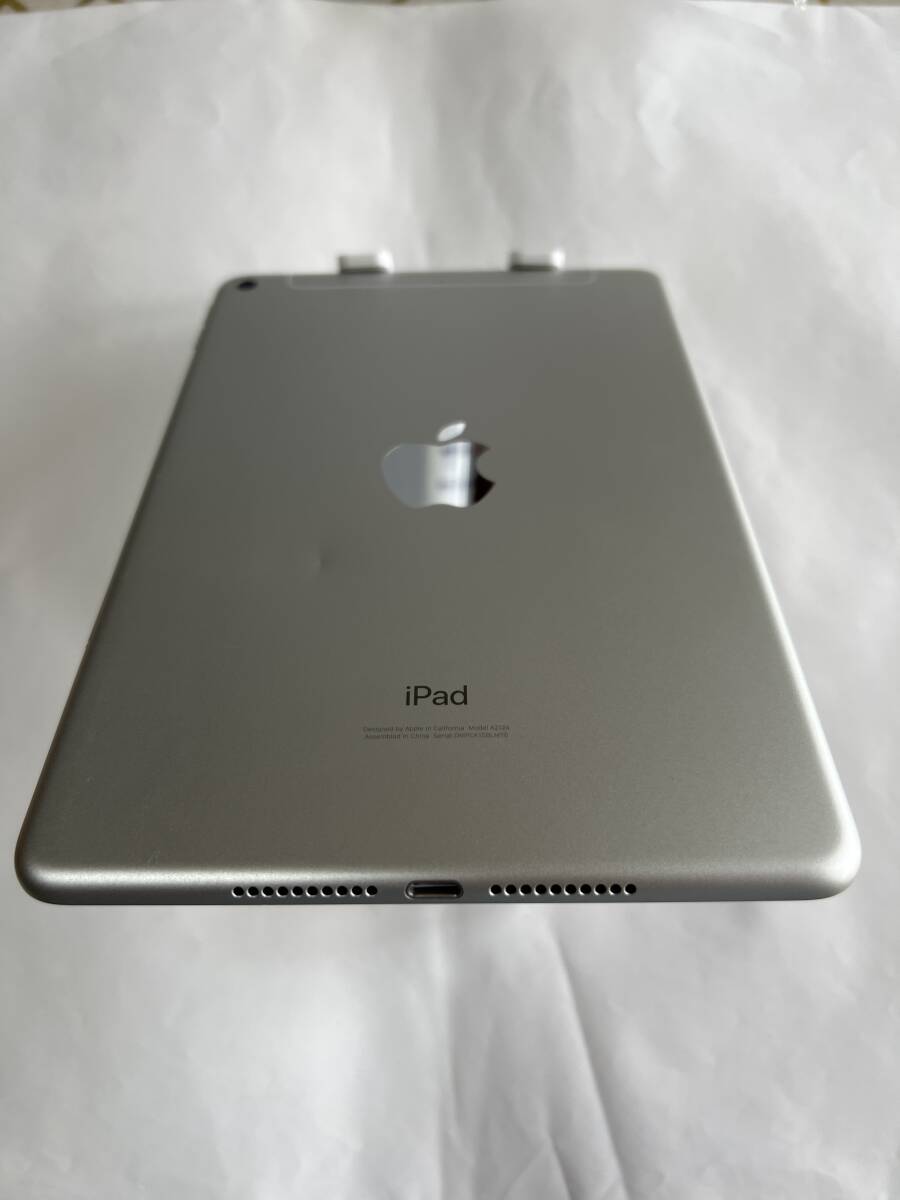 IPad Mini 5 WiFi + Cellular 64GB Silver