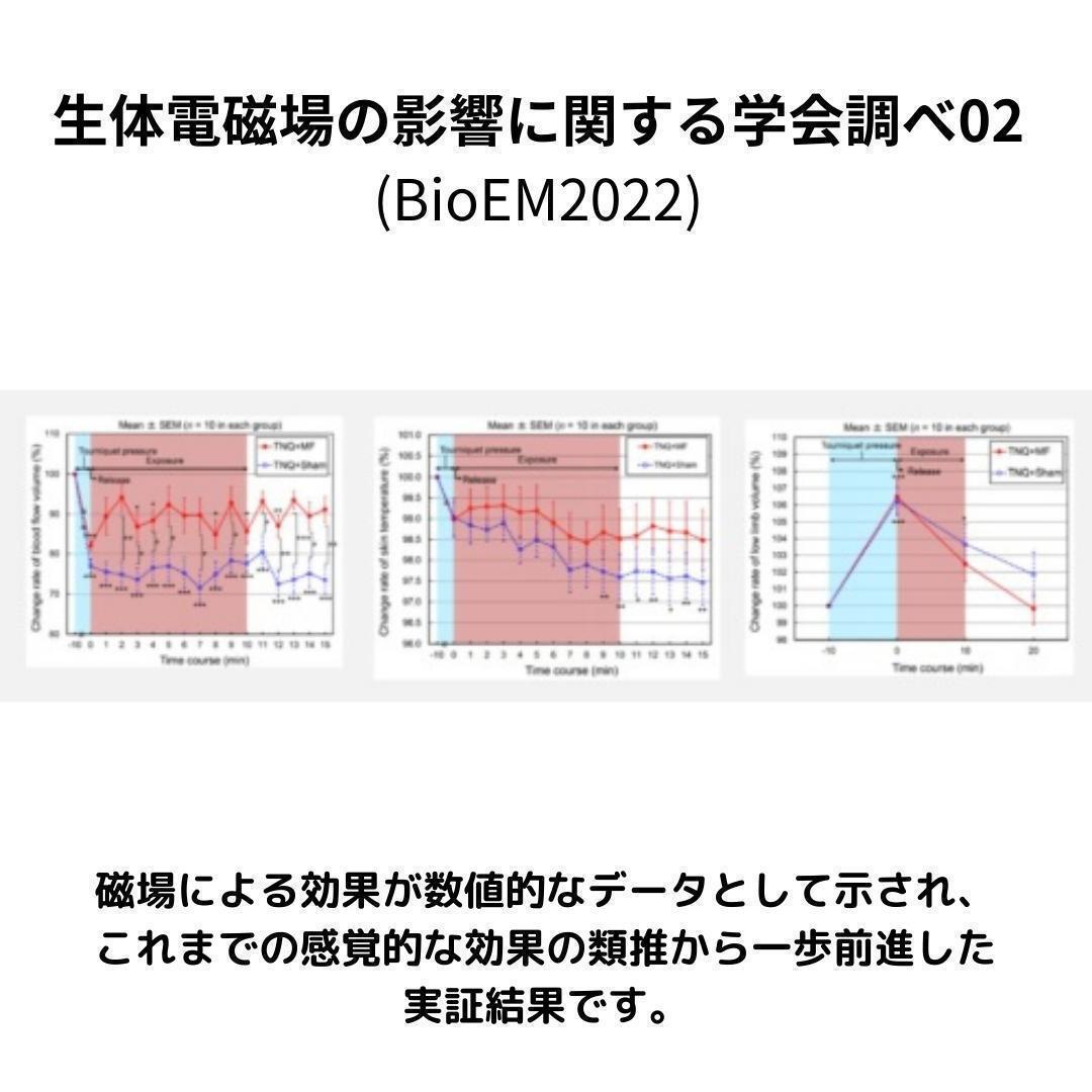 金運 健康 開運 磁気 強力 アンクレット 2本セット 最新 2024 運気向上 勝利 合格 縁起 風水 人気 天然石 ヘマタイト 足首 アクセサリー