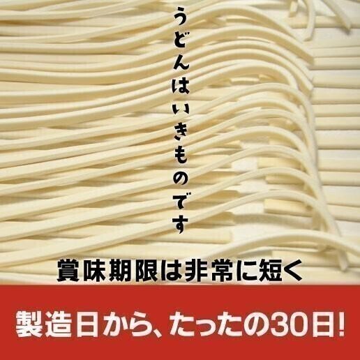  free shipping udon .. udon 30 portion dressing attaching bulk buying .... made noodle 