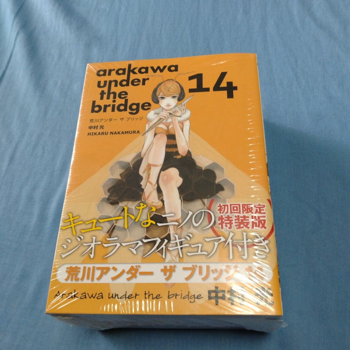 荒川アンダーザブリッジ 14　初回限定特装版