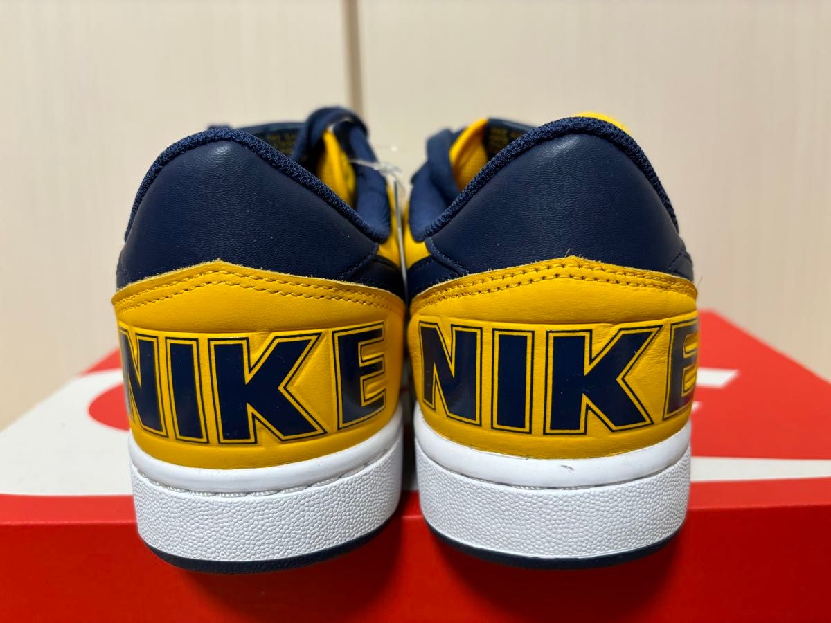 Nike Terminator Low Michigan 27.0㎝