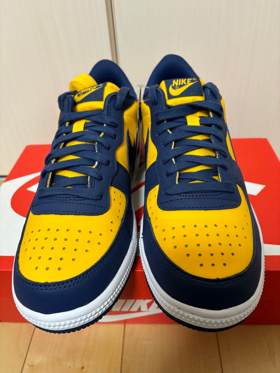 Nike Terminator Low Michigan 27.0㎝