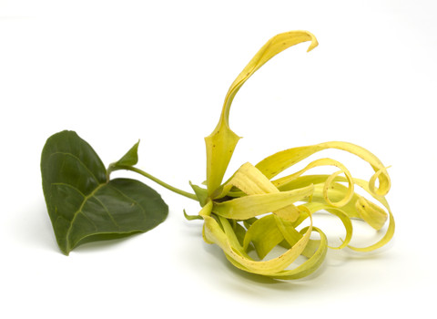 ★ остаток  небольшое количество ★ ...100％Ylang Ylang EO 30ml