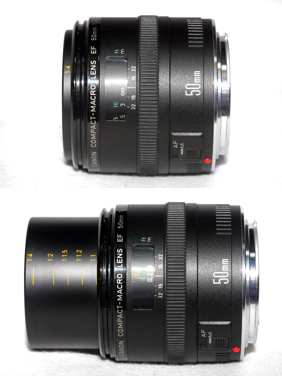 EF 50mm f2.5★★★実写撮影動作確認済 外観光学系共に良像個体★単焦点マクロレンズ , Canon キヤノン EF 50mm f2.5 ★★★_フォーカス動作スムーズです