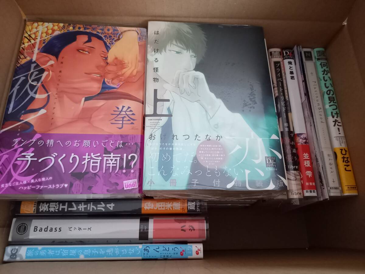 BLコミック 30冊セット まとめ売り おげれつたなか/さがのひを/相葉キョウコ/七瀬/ときたほのじ/多摩緒べべ/ 他_画像7