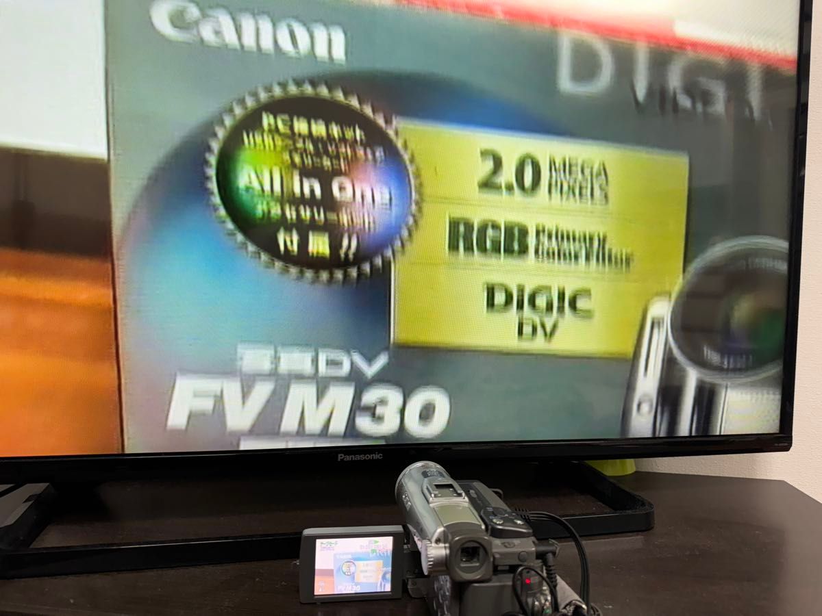 Canon Mini DV ビデオカメラ DM-FV M30 キヤノン