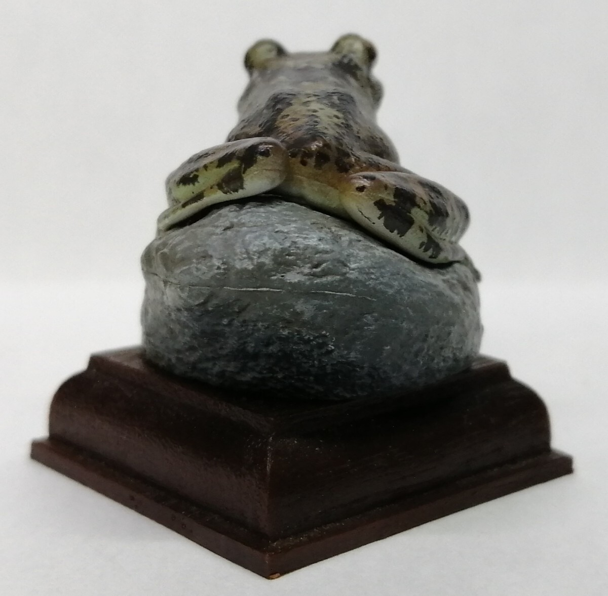 ネイチャーテクニカラー 日本のカエル カジカガエル　カエル　かえる　蛙　両生類　フィギュア_画像4