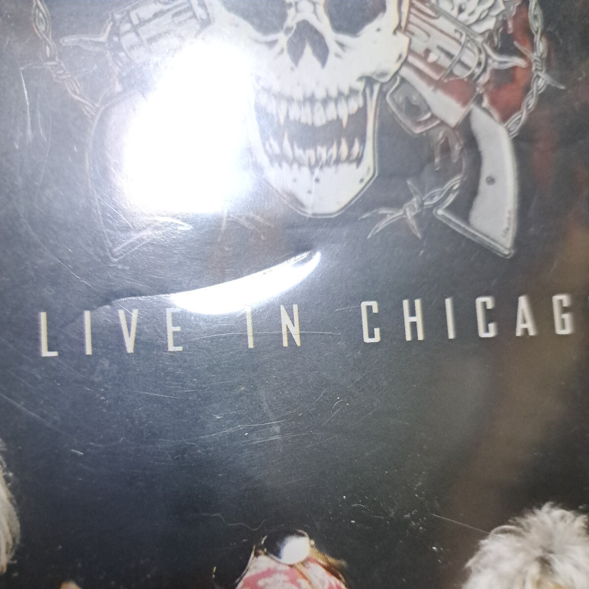 Guns'n'Roses/LIVE IN CHICAGO 海外版DVD _画像3