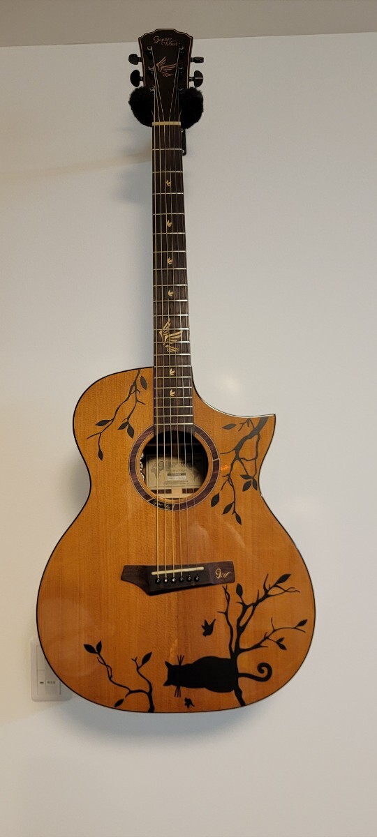 Gopher Wood Guitars i320RCE-JP/Origin エレアコ _画像1