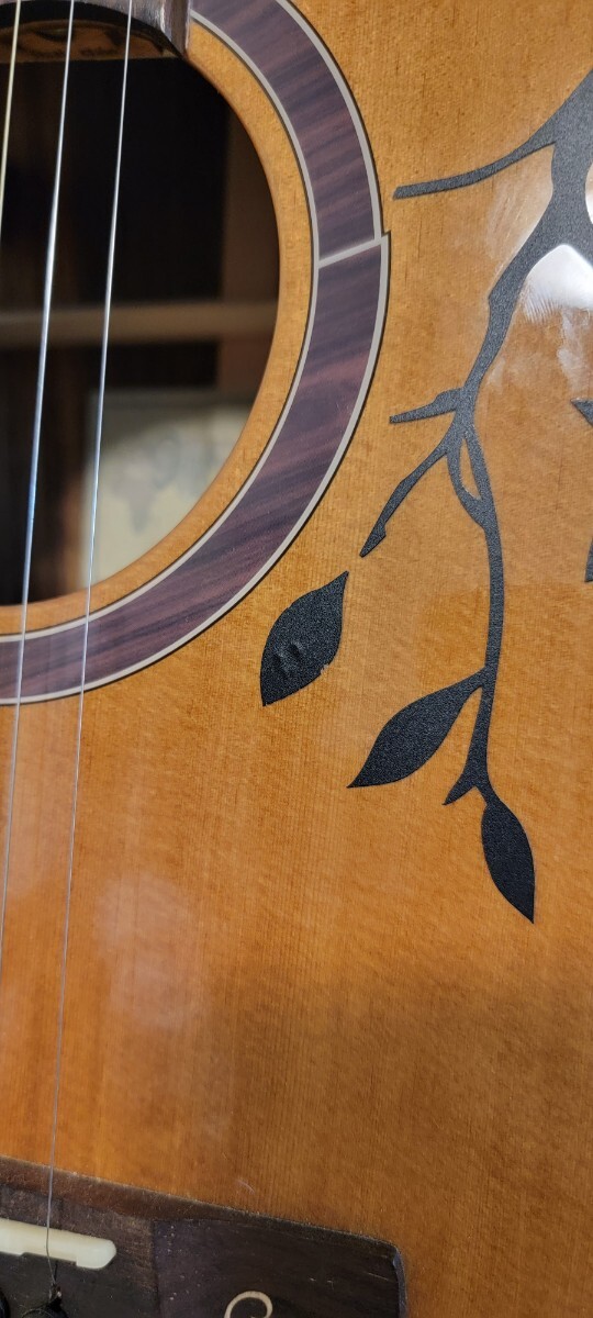 Gopher Wood Guitars i320RCE-JP/Origin エレアコ _画像9