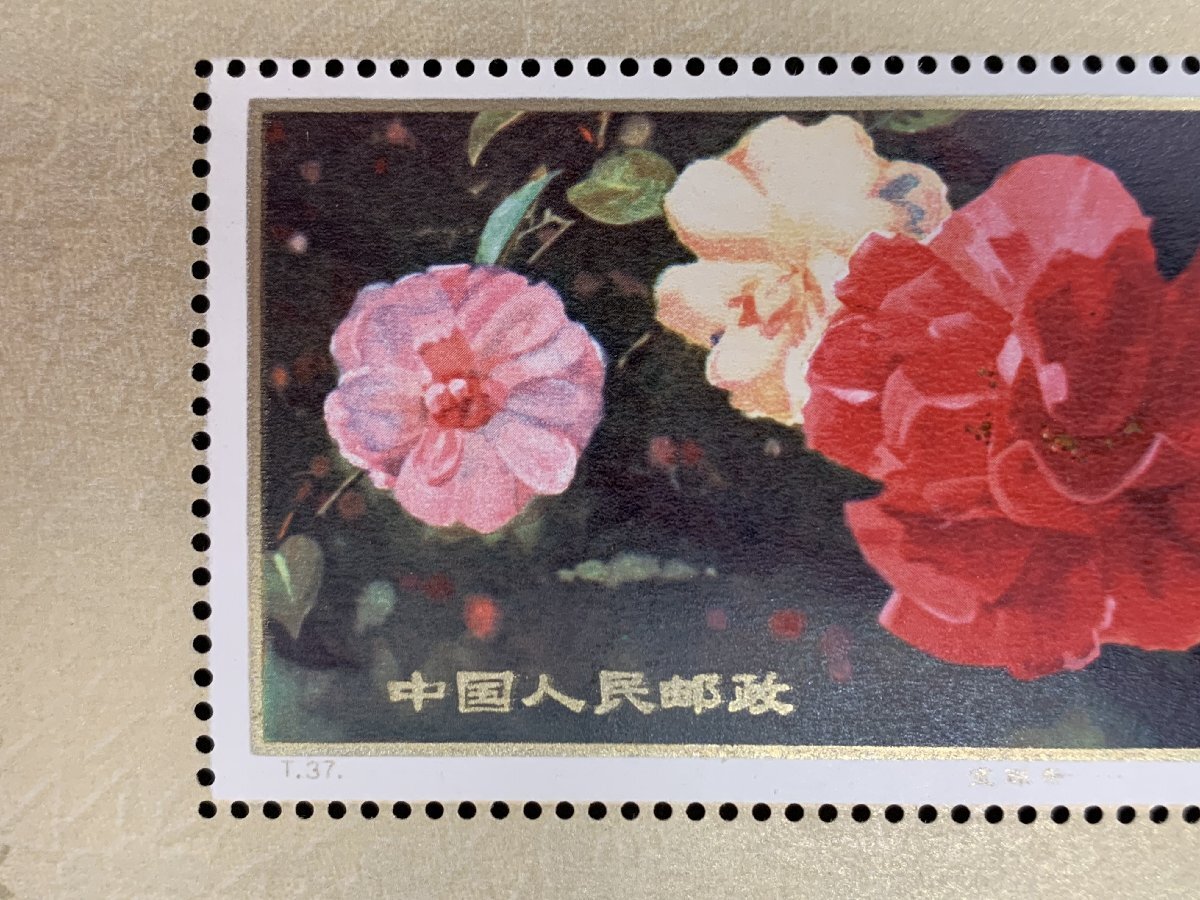 [5ST Tsu 04017D]1 jpy start * China stamp *T37m*. south. camellia * small size seat * China person . postal *. south mountain tea flower * unused 