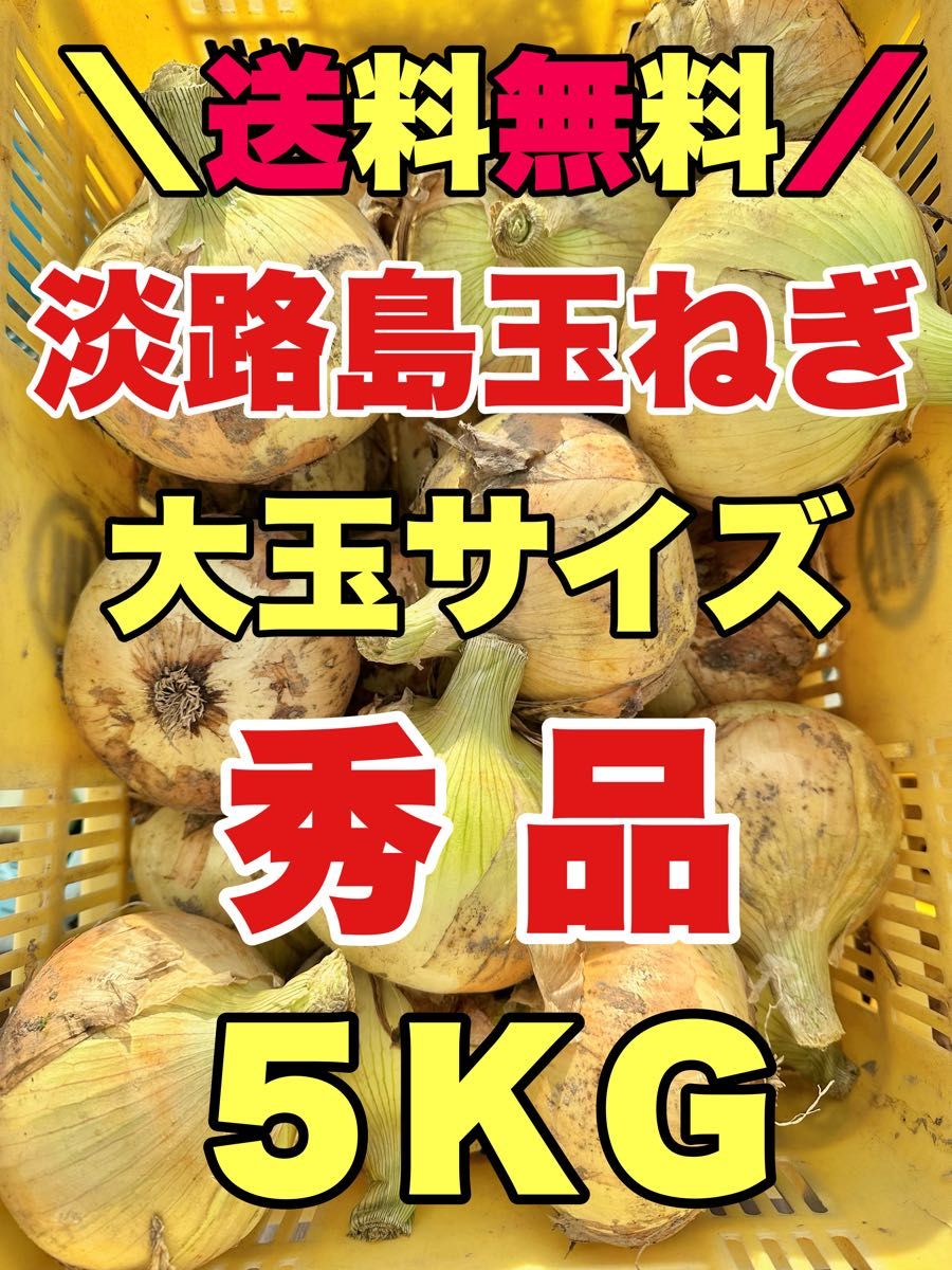 淡路島新玉ねぎ 早生　七宝　5kg 5キロ　淡路島たまねぎ　玉ねぎ　秀品