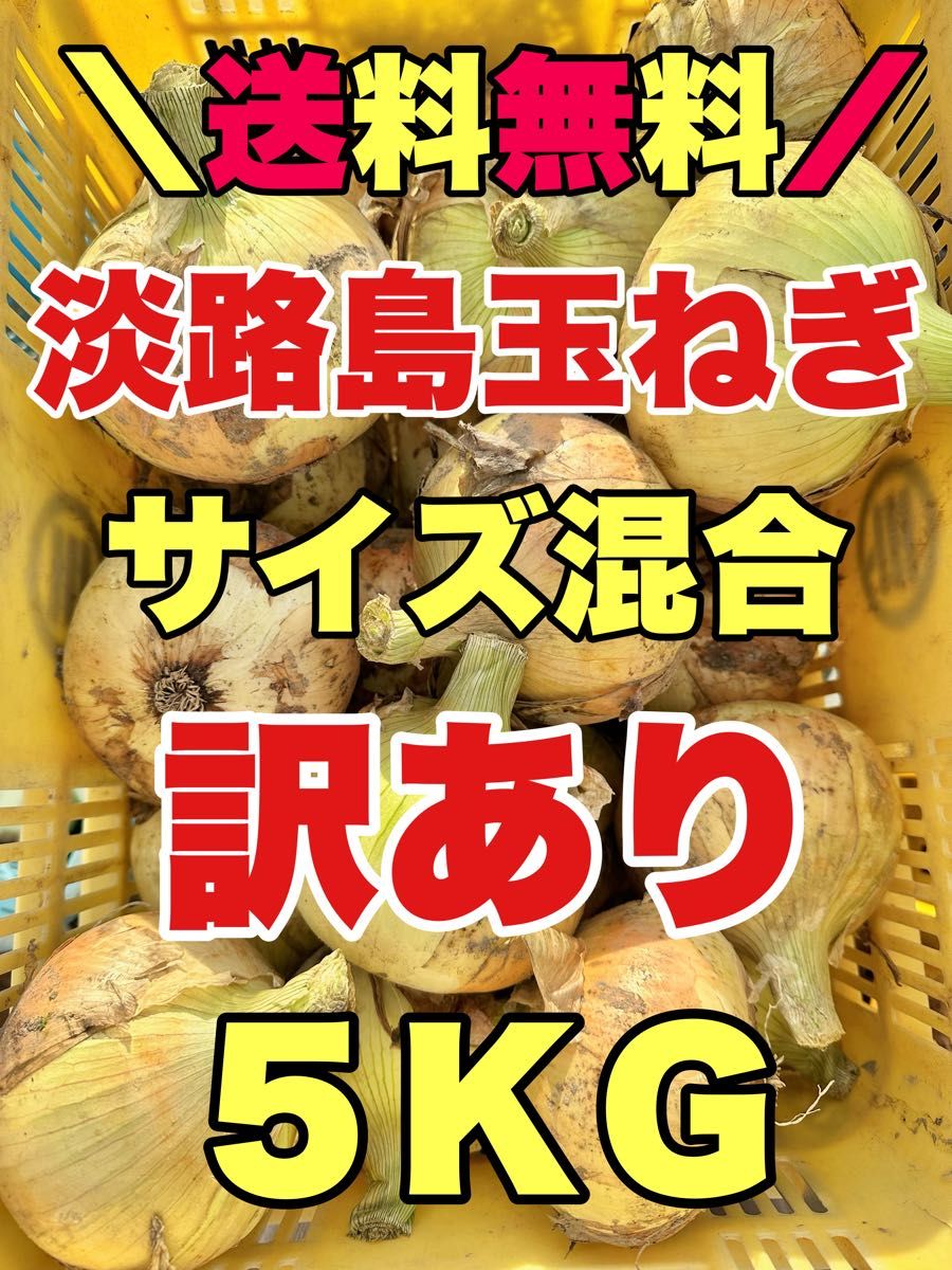 淡路島新玉ねぎ  七宝　5kg  5キロ　淡路島新たまねぎ　タマネギ　訳あり