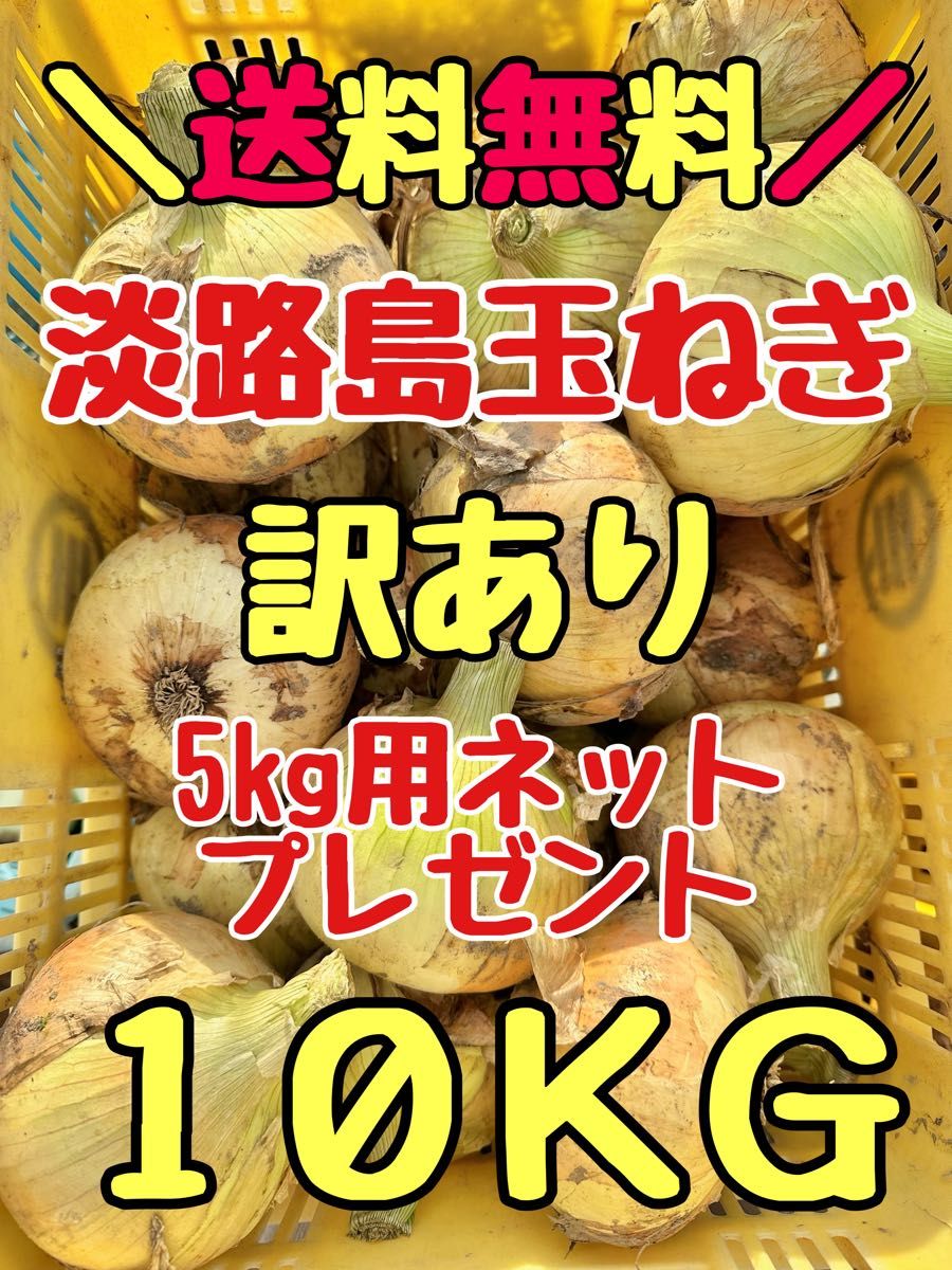 淡路島新玉ねぎ 早生　七宝　10kg 10キロ　淡路島新たまねぎ　玉ねぎ　訳あり