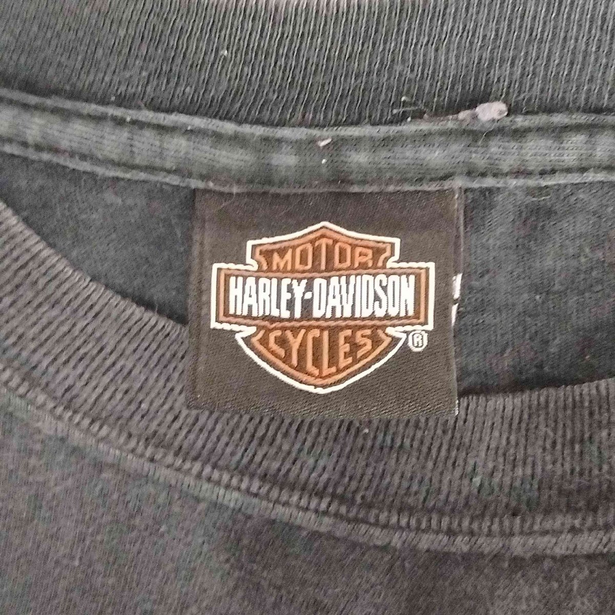 HARLEY DAVIDSON(ハーレーダヴィットソン) 00S Hanes BEEFYボディ 両面プリン 中古 古着 0908_画像6