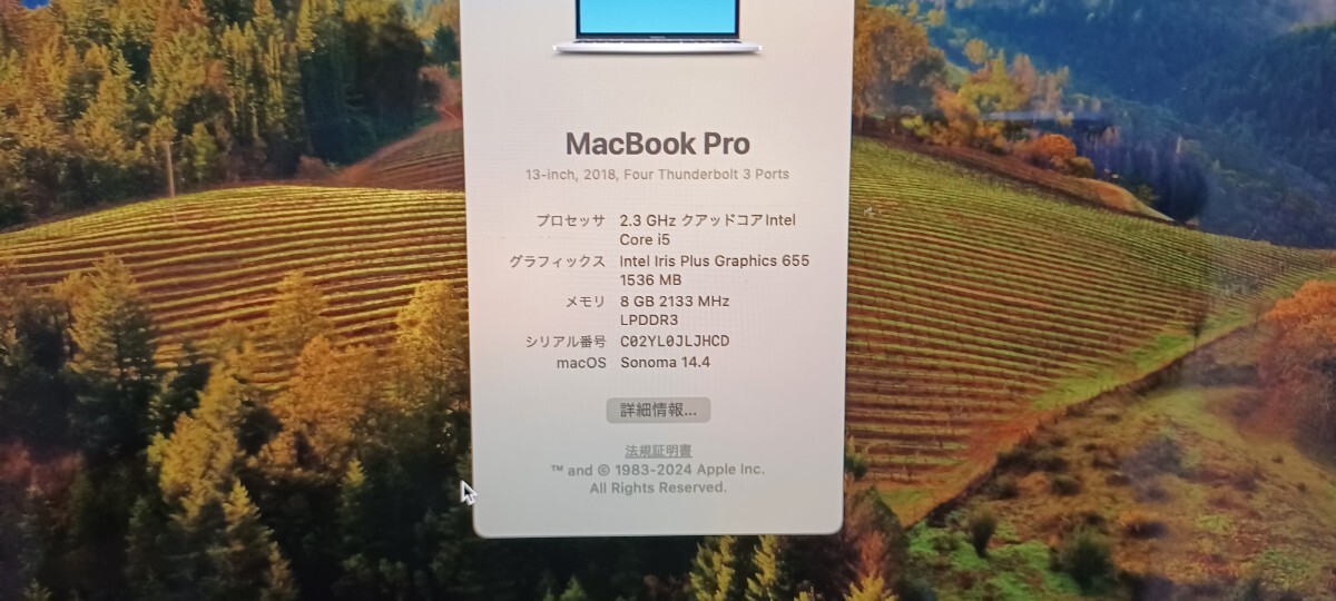 Apple MacBook Pro A1989 Core i5/8GB/SSD256GB 13inch Four Thundoit 3ports 2018 mac os Sonoma _画像5