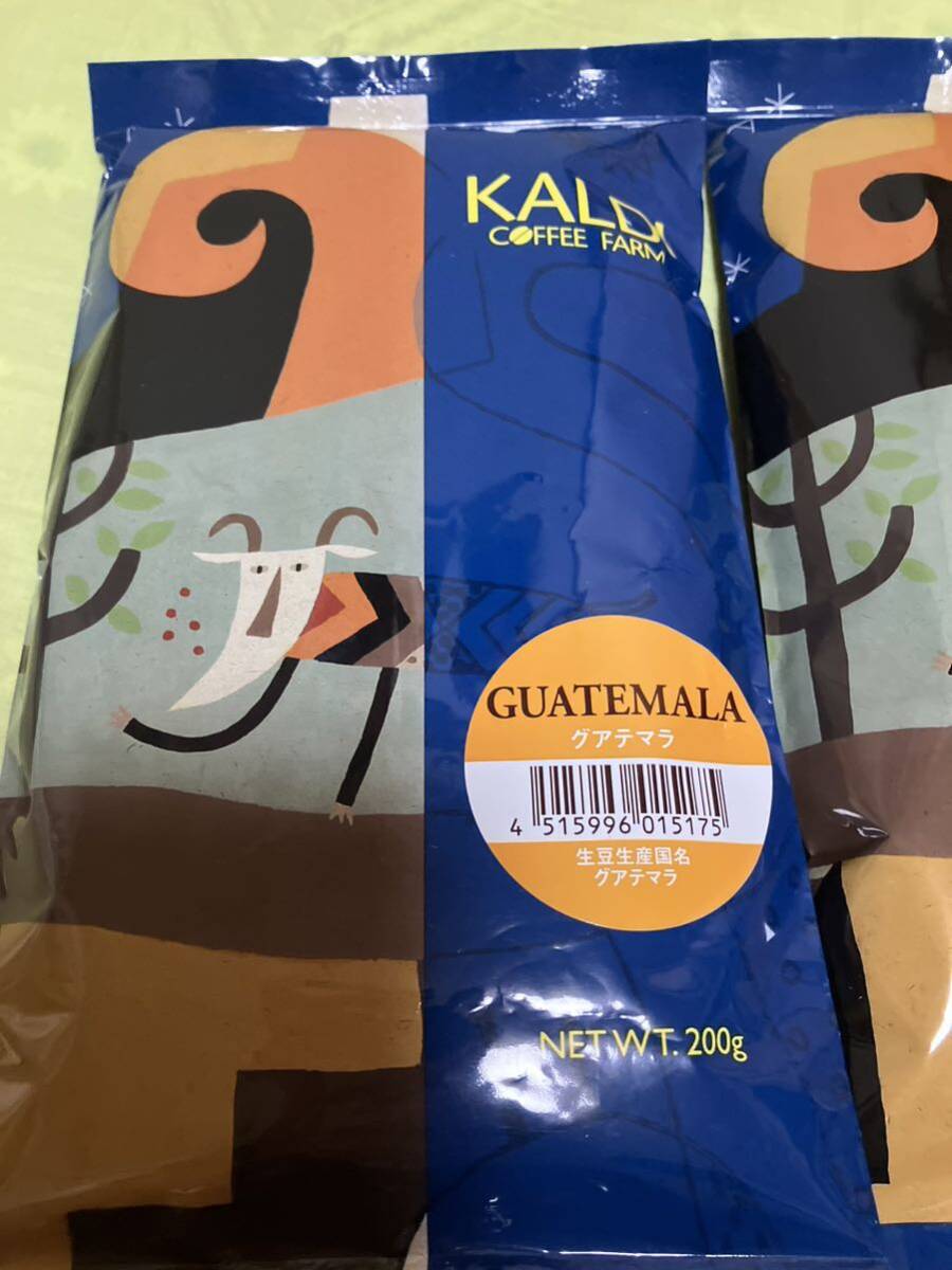 カルディコーヒーファーム　グアテマラ　 2袋 KALDI カルディ カルディコーヒー 豆 珈琲 コーヒー コーヒー豆 