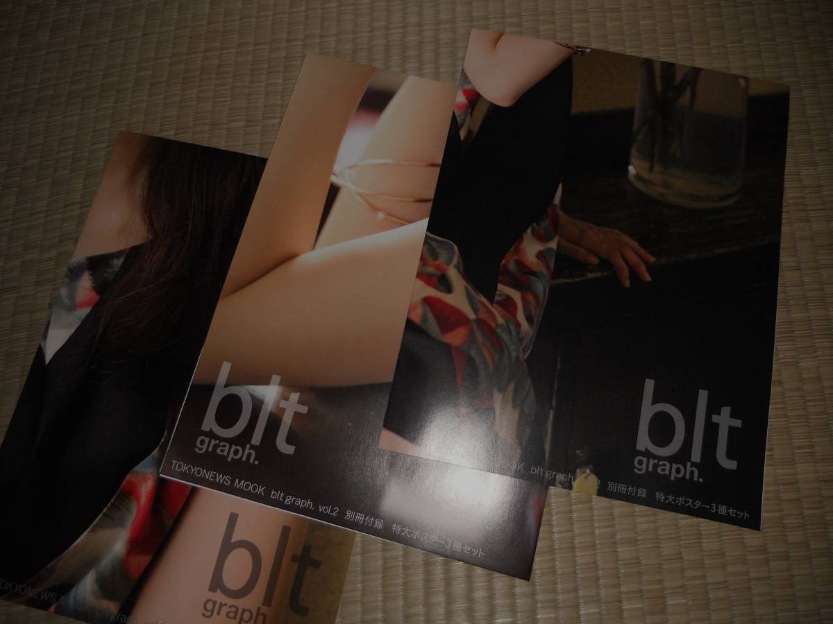 松井玲奈　SKE48　AKB48　特大ポスター3種セット◆bltgraph.Vol２付録