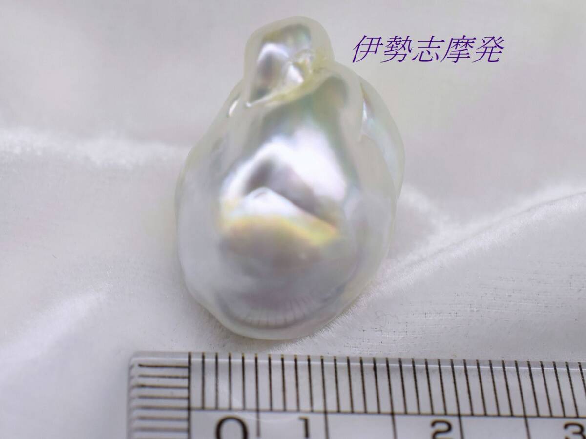 ー品販売 ◇伊勢志摩発◇ 25㎜x17, 希少【魅惑の白蝶真珠ジャンボバロック】 真珠