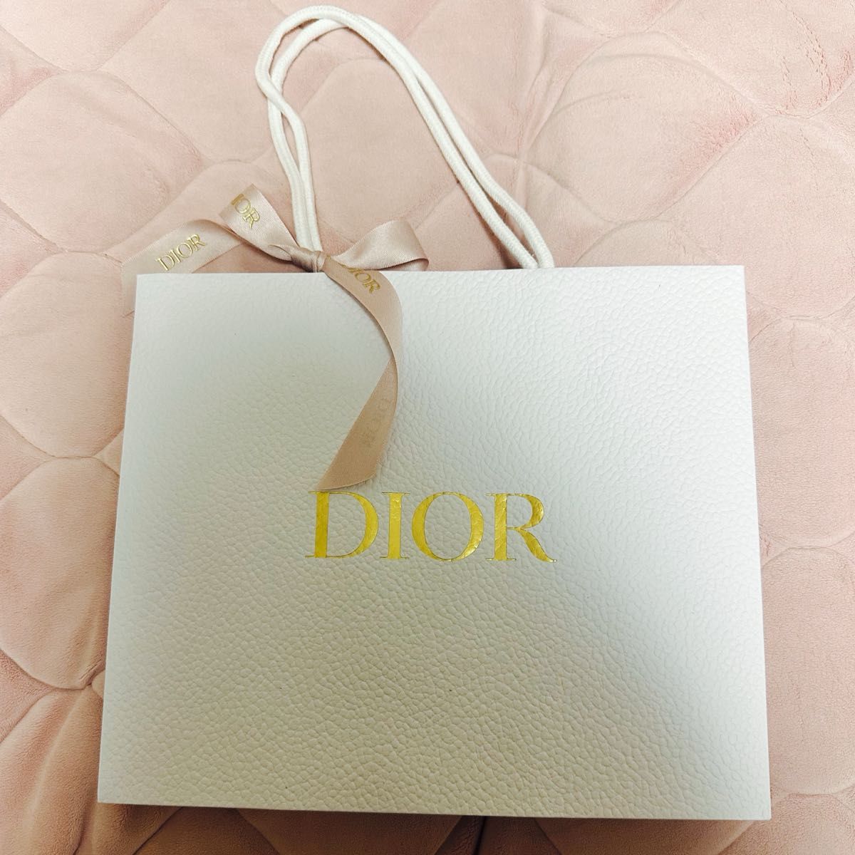 ディオール ショップ袋  リボン付き　未使用 Dior