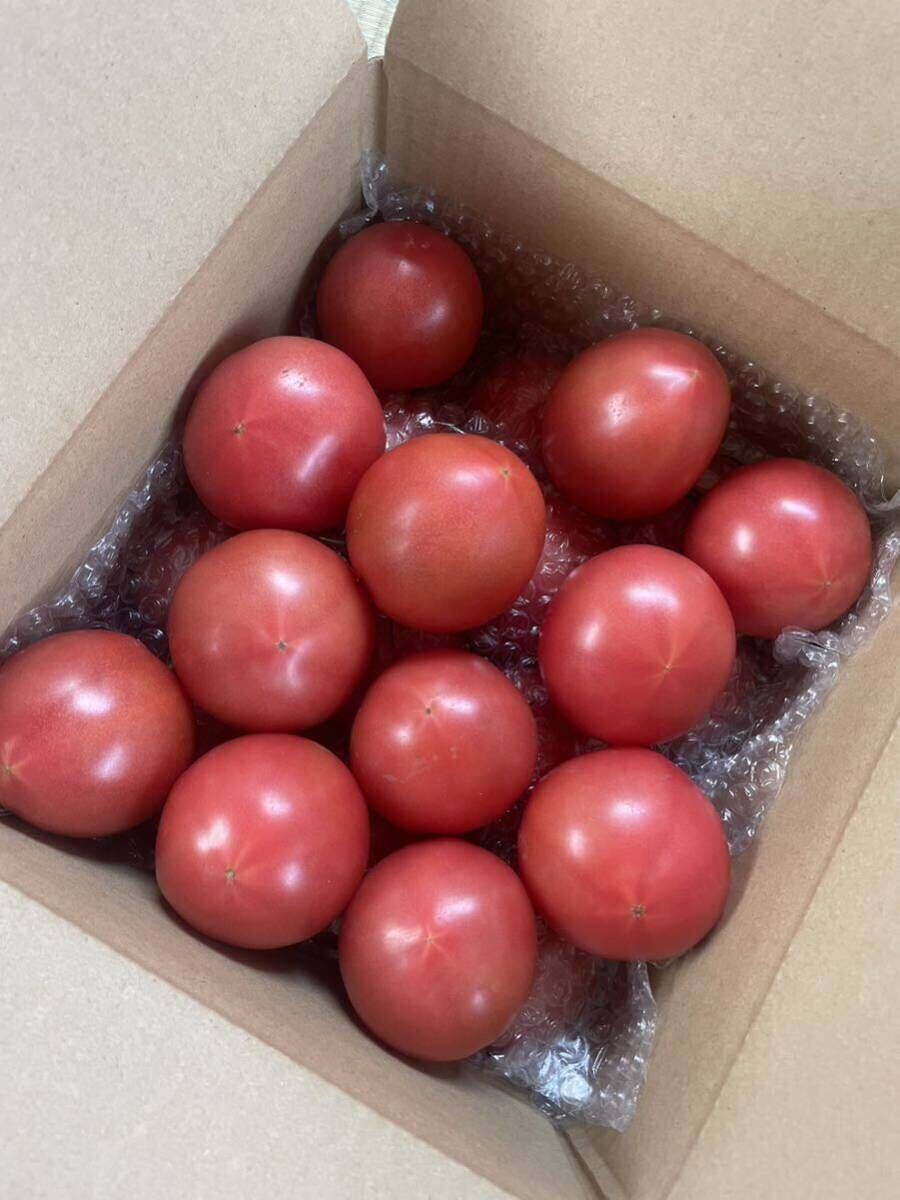 静岡県産 A品 トマト　2.5kg 減農薬栽培　農家直送_画像1