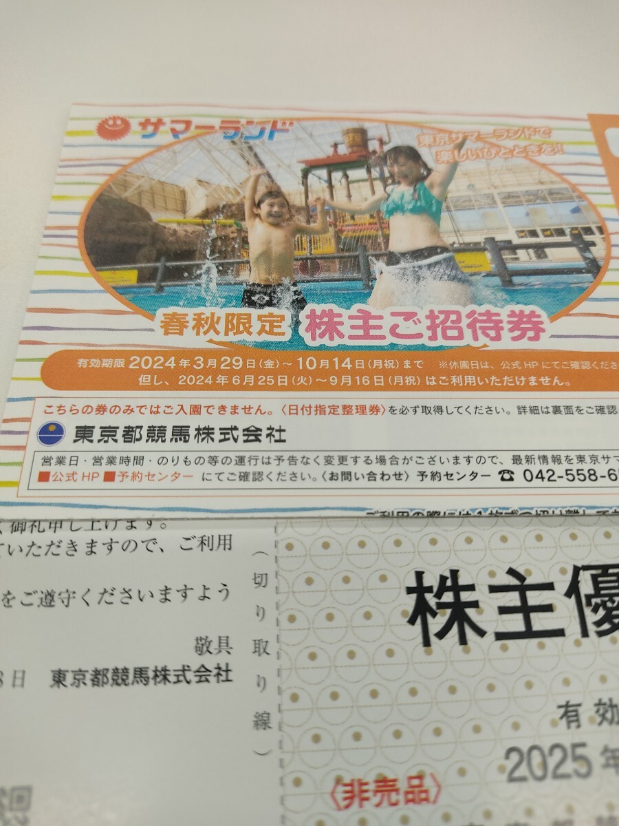 【送料込】東京サマーランド 春秋限定株主ご招待券 1dayパス 8枚セット ＋ 大井競馬場株主優待証） _画像1