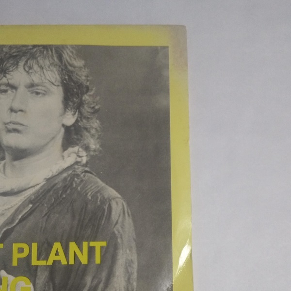 ★ROBERT PLANT「STARTING OVER」2枚組 LP　コレクターズ　ロバート・プラント　LED ZEPPELIN　レコード_画像3
