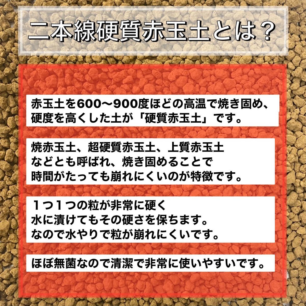 二本線硬質赤玉土　小粒 1リットル　小粒 多肉植物 サボテン 観葉植物 土_画像2