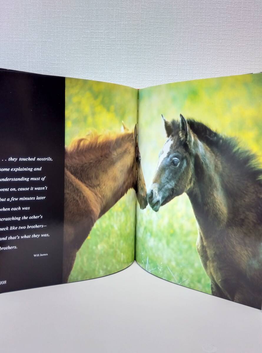 自■ ロバート・ヴァヴラ 馬の写真集 Robert Vavra Equus: The Creation of a Horse EVERGREEN/TASCHEN_画像5