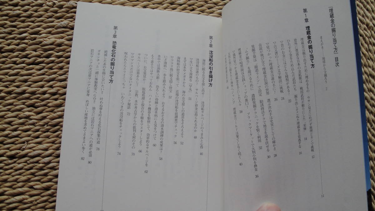 ヤフオク 埋蔵金の掘り当て方 非日常実用講座 18 ヤフオク 埋蔵金の掘り当て方 非日常実用講座 18