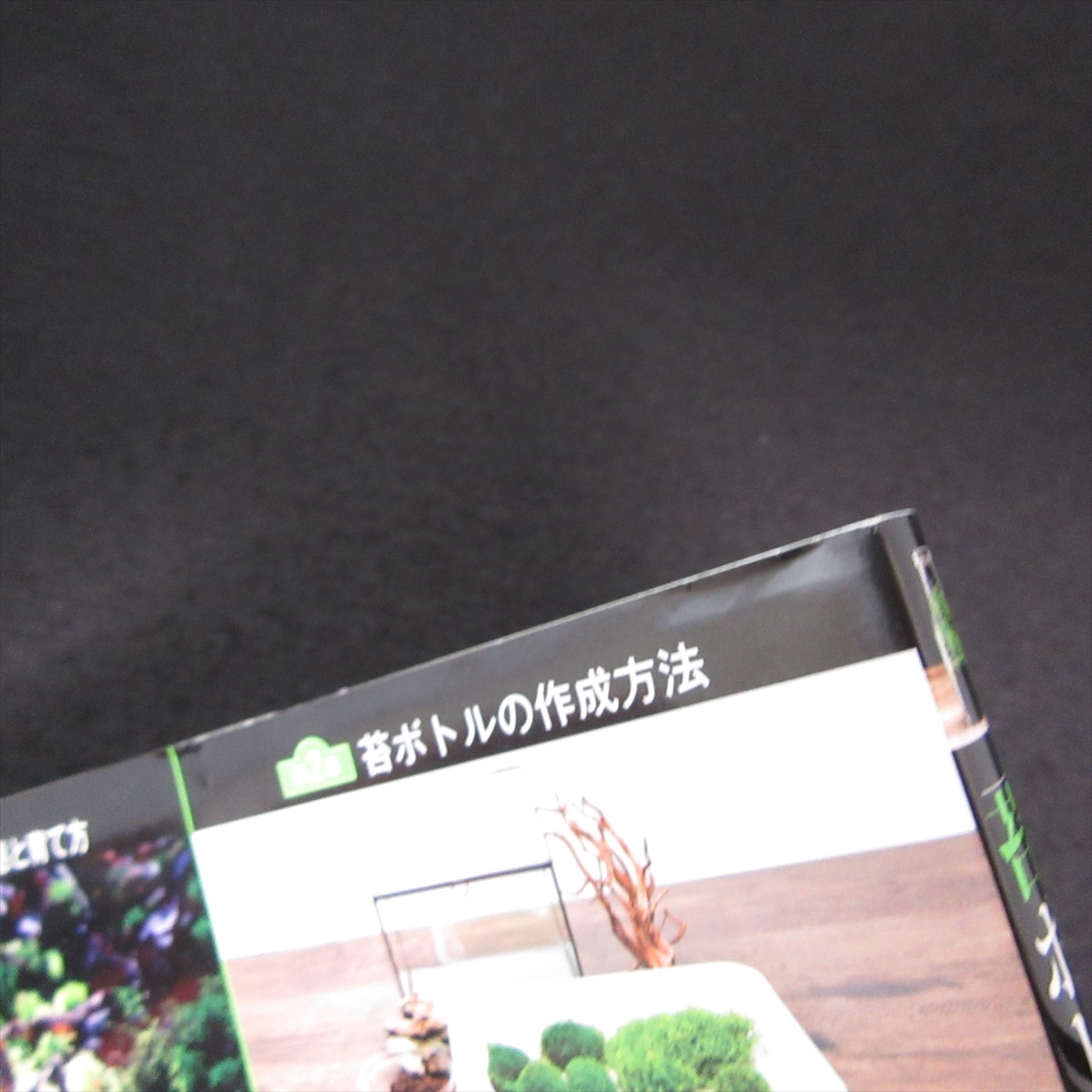 本 『苔ボトル 育てる楽しむ癒しのコケ図鑑』 ■送120円 佐々木浩之 戸津健治 コケの生態、育成方法 コケボトルの作り方 コスミック出版○_画像7