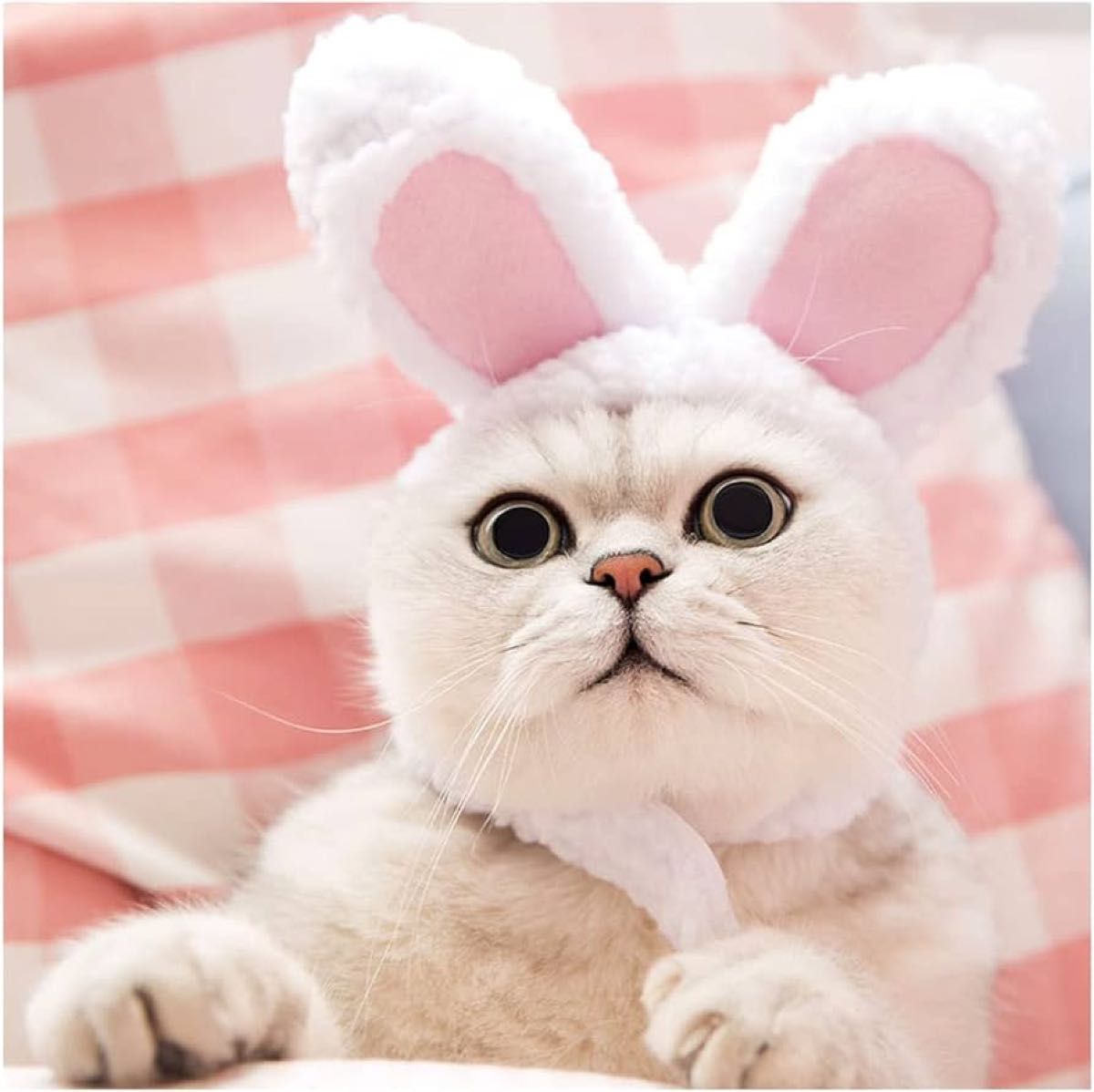 ウサギ 猫　ペット帽子 コスプレ仮装 猫のヘアアクセサリー うさぎ変身 柔らかい