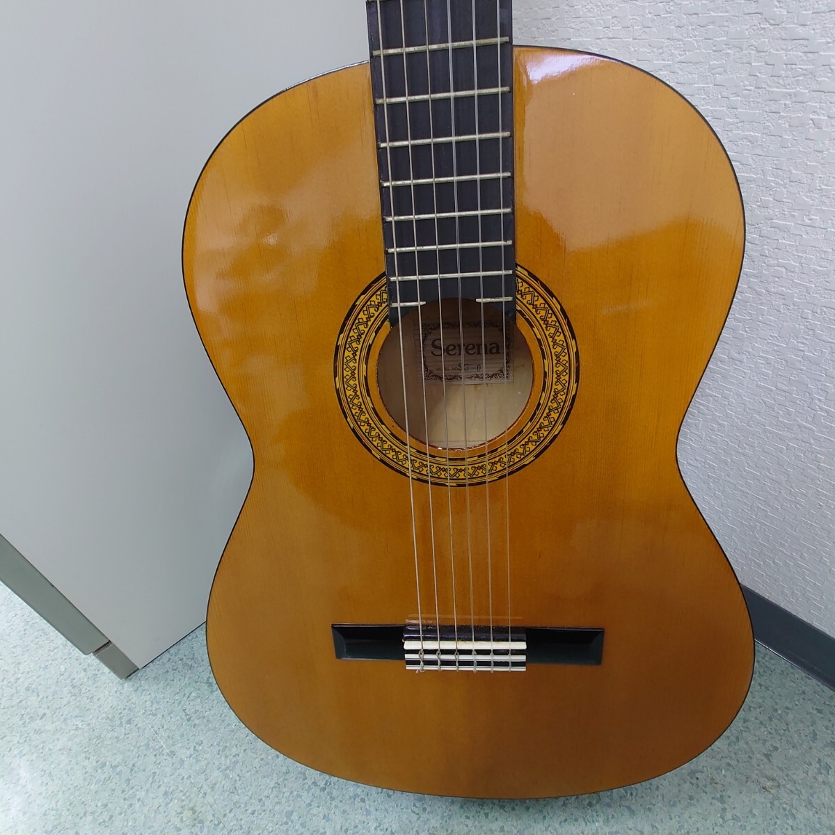 UU237 アコースティックギター ギター Serena 弦楽器 音楽 楽器 DAR_画像2