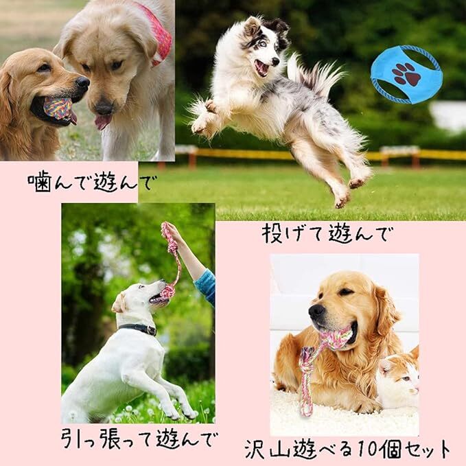 PetGround 犬のおもちゃ10個セット 頑丈 小型犬 中型犬 大型犬 犬 おもちゃ ロープ ボール フリスビー 歯磨き 知育_画像6