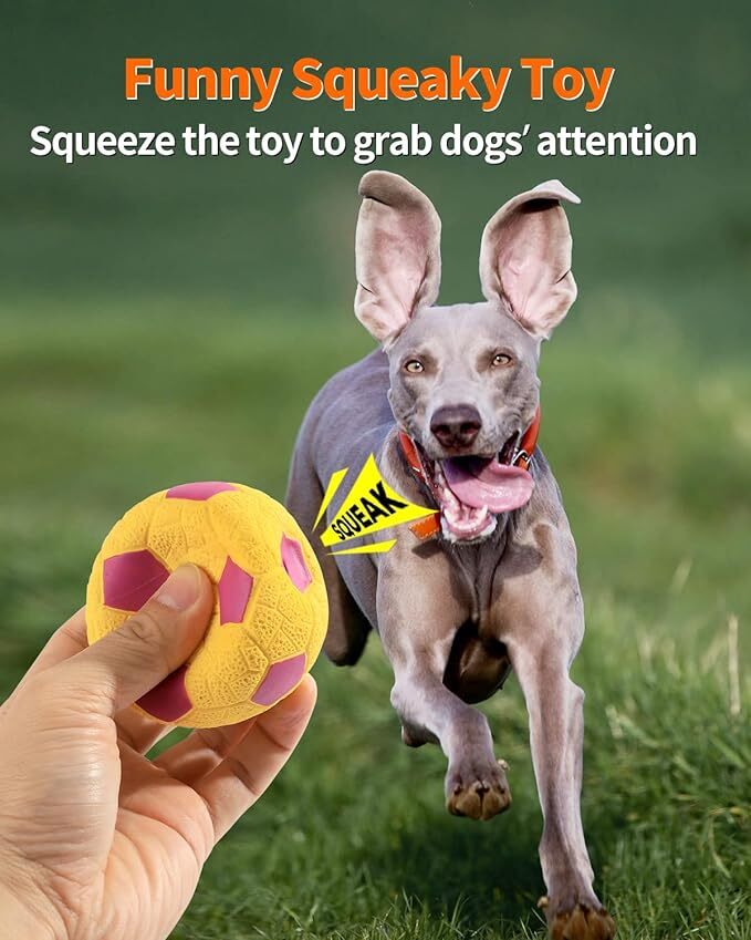  dog toy ball sounding [4 piece set baseball * soccer * volleyball * basketball ].. toy brush teeth robust enduring 