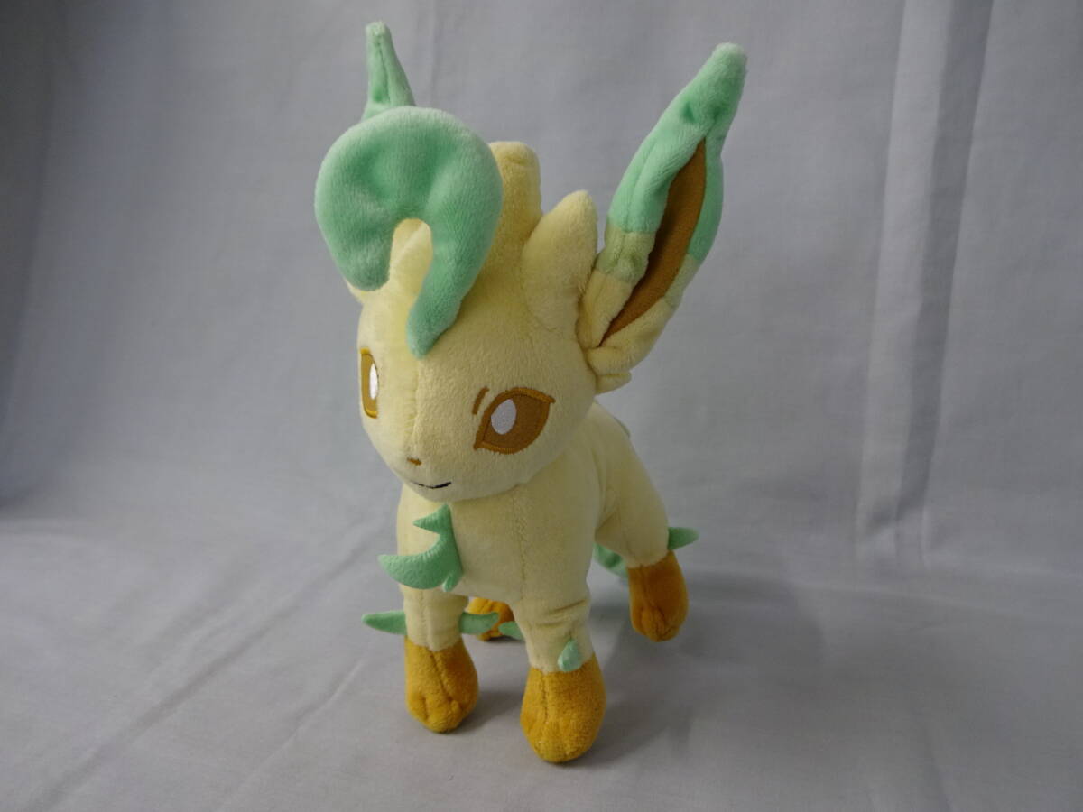 ポケモンセンター限定　リーフィア　ぬいぐるみ　高さ：約20.5cm　幅：約13.5cm　奥行：約13.5cm　2018年　ポケットモンスター_画像2