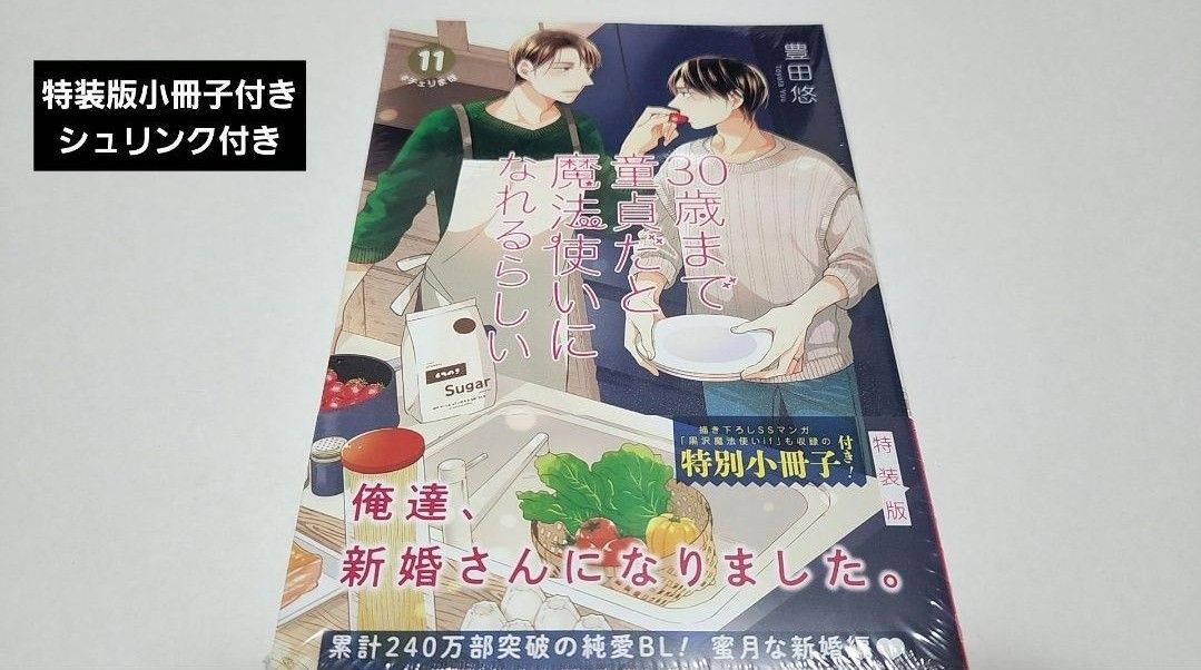 BLコミック「30歳まで童貞だと魔法使いになれるらしい 」豊田悠