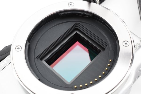 【ジャンク】Sony ソニー NEX-5R ボディ ショット数1612枚 ミラーレス一眼カメラ #839-1_画像8