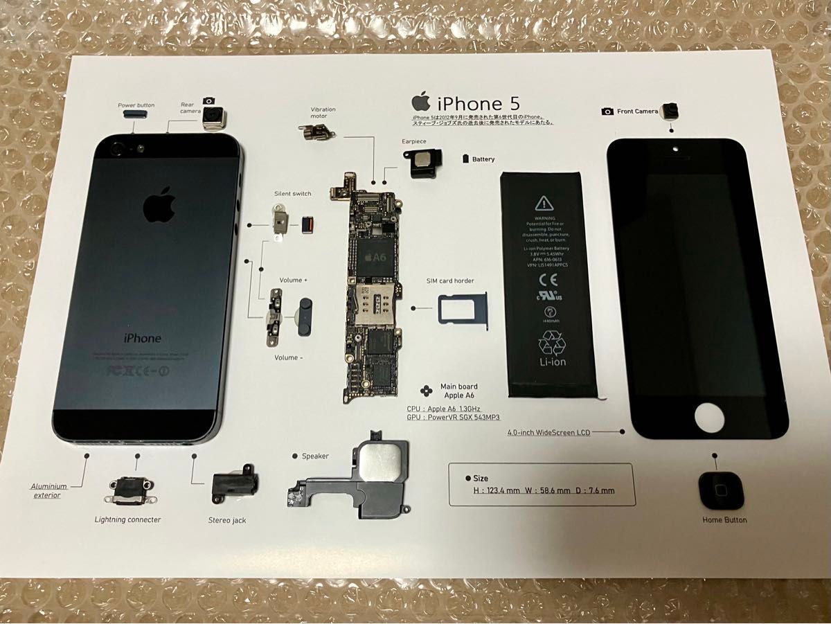 Apple iPhone 5 iPhone5 標本アート 自作 ブラック|Yahoo Apple iPhone 5 iPhone5 標本アート 自作 ブラック|Yahoo