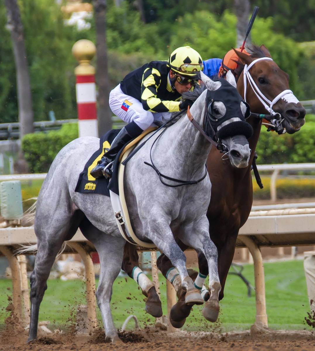 先週は回収率１５２％！　進撃の１点枠連馬券術　初心者でも同じ買い目　競馬予想　競馬予想ソフト　必勝法　ソフト　副業　副収入 _画像1