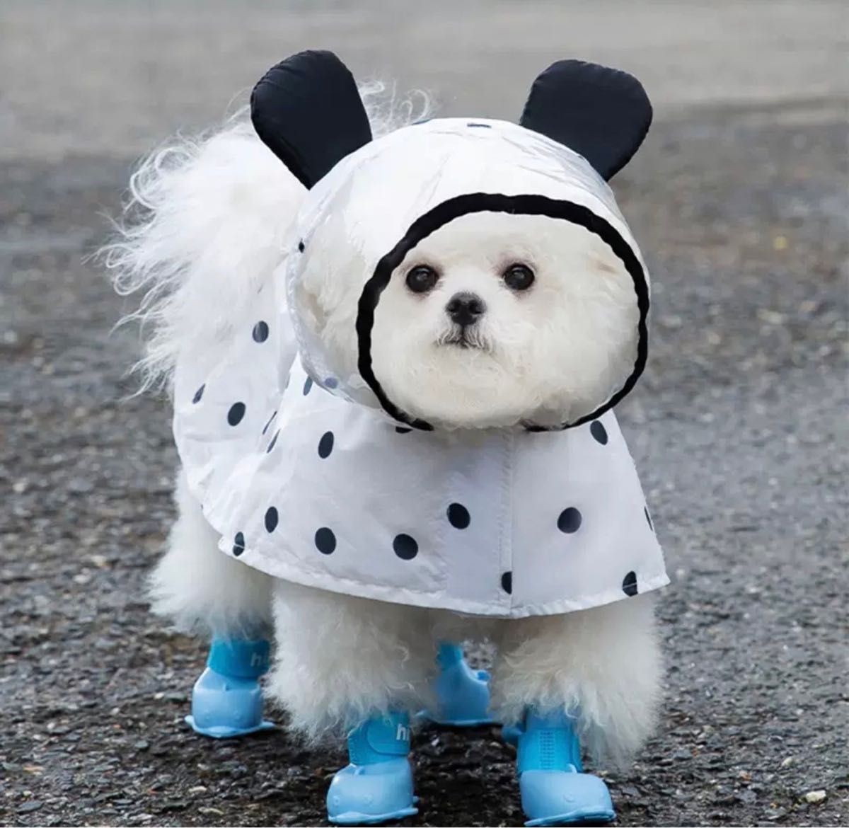 ★SALE★犬レインコート【XSサイズ】小型犬　ドッグ ウェア　パンダ ドット柄　ポンチョ　雨　かっぱ