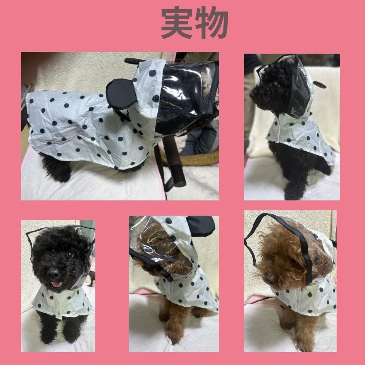 ★SALE★犬レインコート【Mサイズ】小型犬　ドッグ ウェア　パンダ ドット柄　ポンチョ