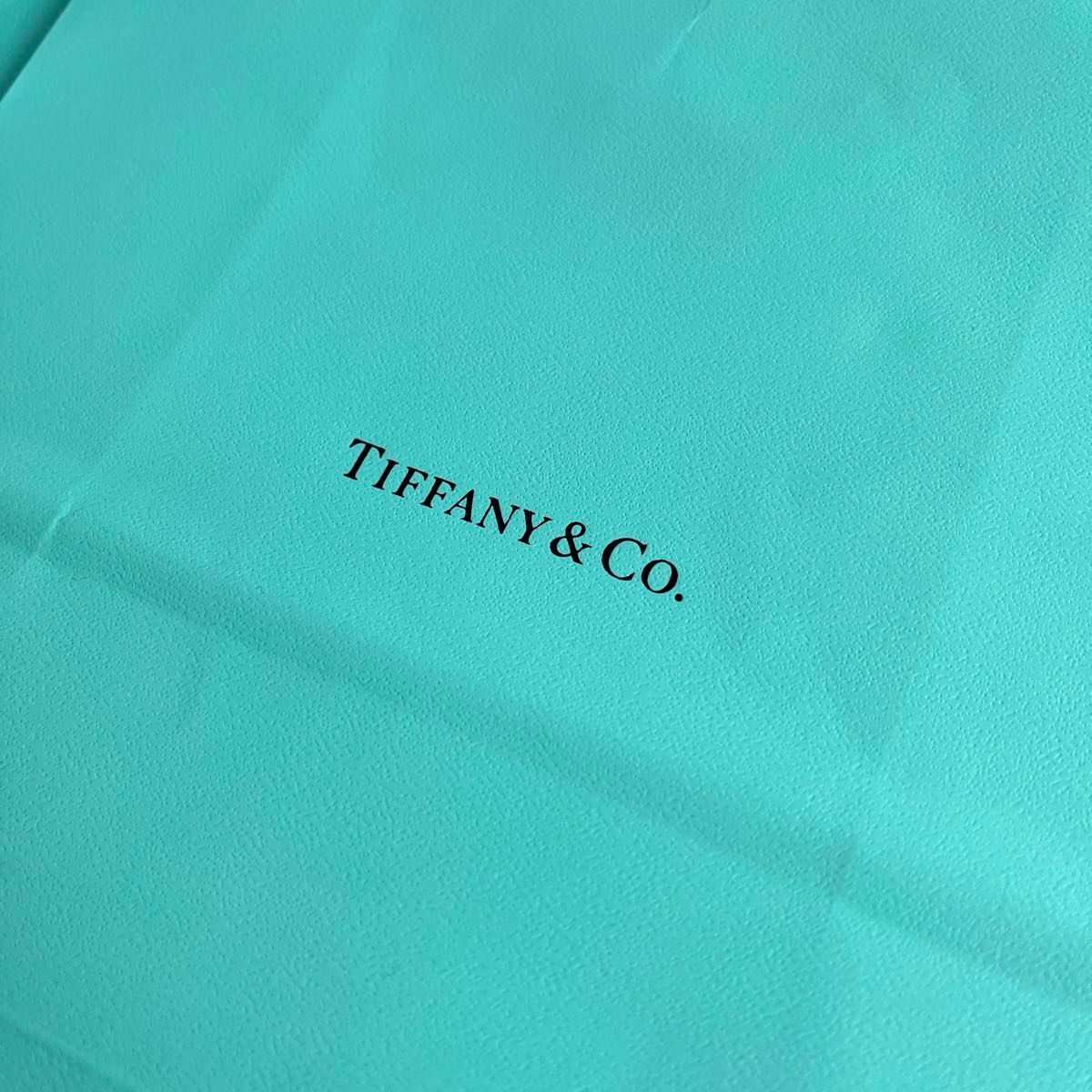 ティファニー  紙袋  ショッパー  大小5枚セット　TIFFANY &Co  