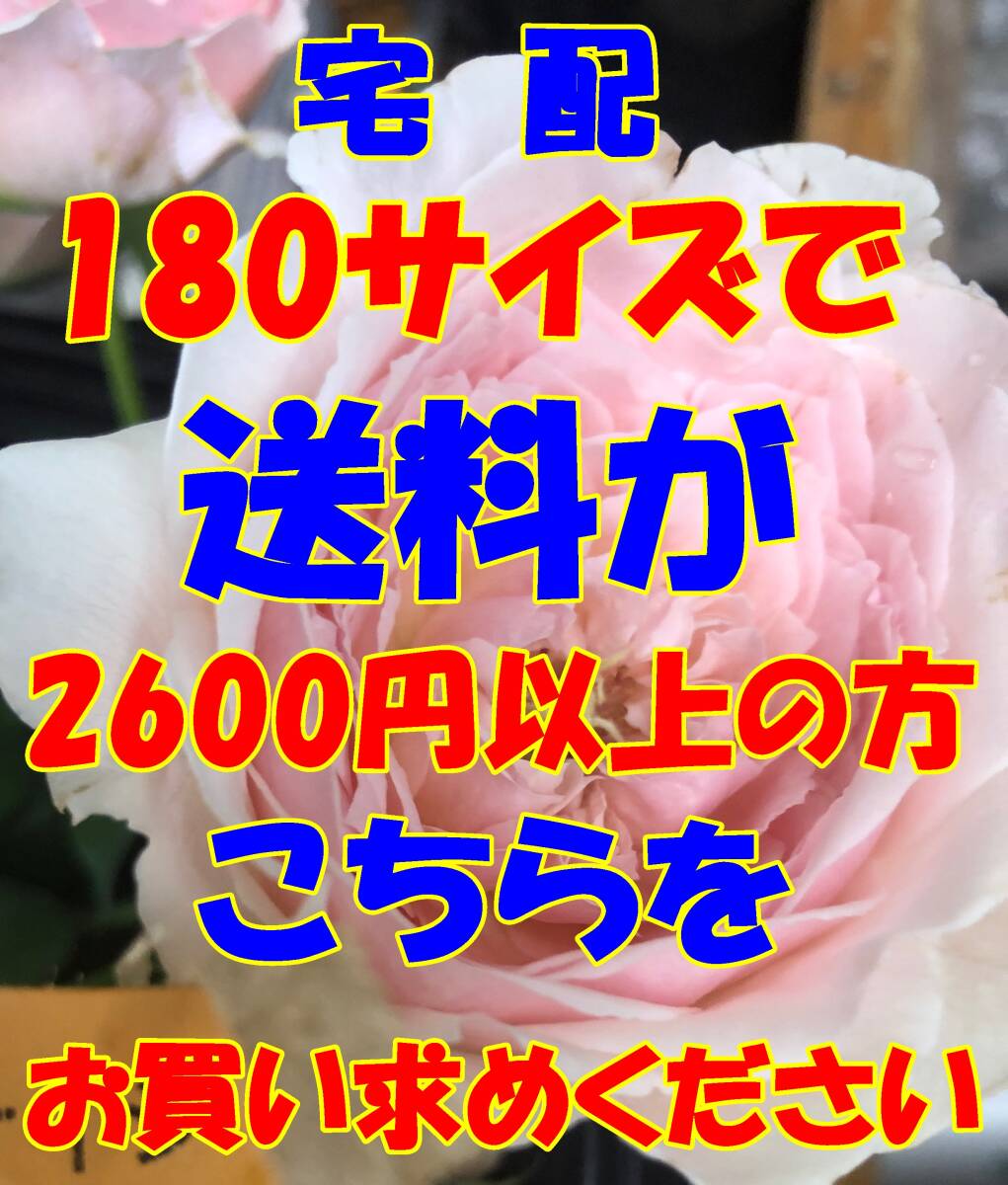 小森様専用　　日本全国同一金額　　１８０サイズで送料が２６００円以上の方ヤフネコ宅急便　G１８０_画像1