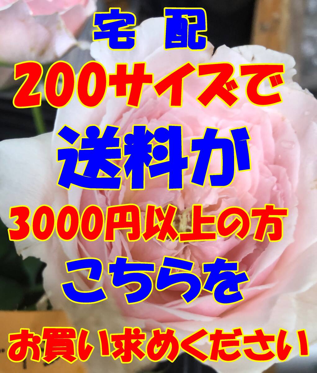 小森様専用　　日本全国同一金額　　200サイズで送料が3000円以上の方ヤフネコ宅急便　C２００_画像1