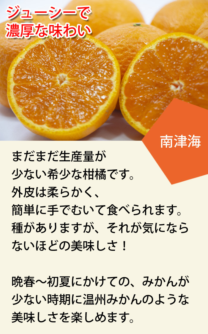 希少柑橘　南津海（なつみ）★ジューシーで濃厚な味わい★_画像2