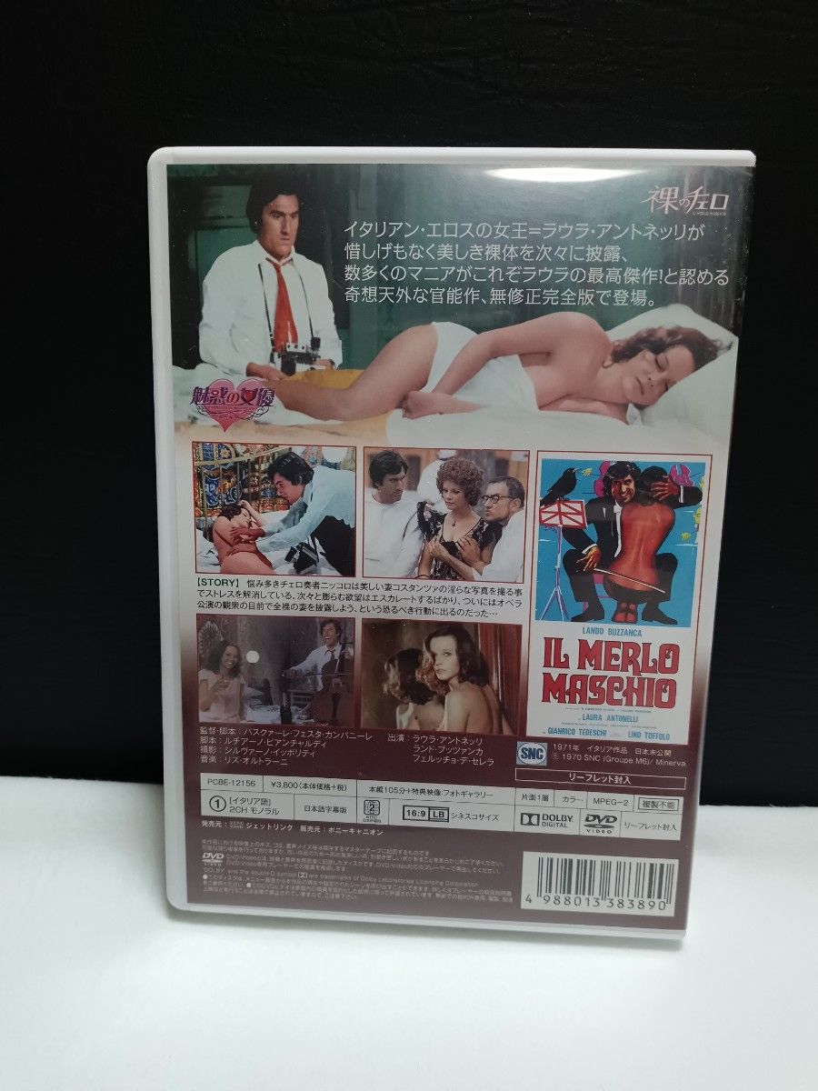 裸のチェロ　ラウラ・アントネッリ主演　国内セル板 DVD