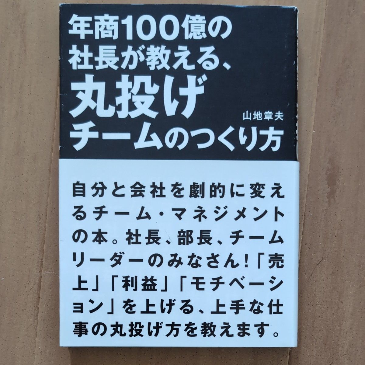 年収100億の社長が教える、丸投げチームの作り方