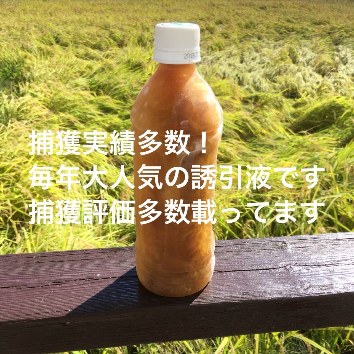 カラー写真説明書付き！ 日本蜜蜂誘引液500ml ミツバチ 巣箱 蜜蜂 分蜂 蜜蝋 ルアー 捕獲  誘引剤　金稜辺　キンリョウヘン